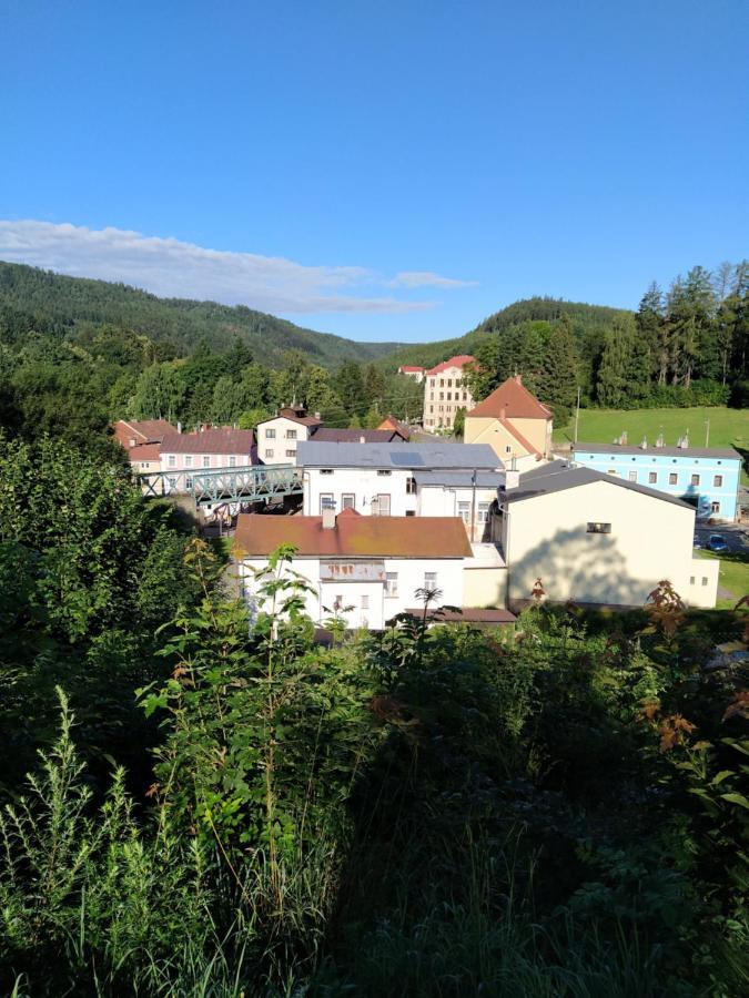 Hotel Koruna Penzion Teplice nad Metují Extérieur photo